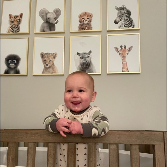 My babies are growing up…. - Picture 7 of 16